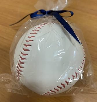 中日ドラゴンズ13岩瀬仁紀引退記念グッズ実試合球サイン入ボール